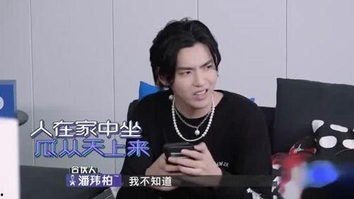 李现吃瓜冲浪视频合集,趣味视频合集大放送