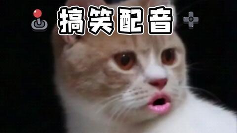 吃瓜沙雕搞笑视频大全集,带你领略欢乐无限
